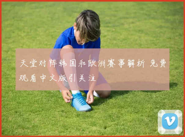 天堂对阵韩国和欧洲赛事解析 免费观看中文版引关注