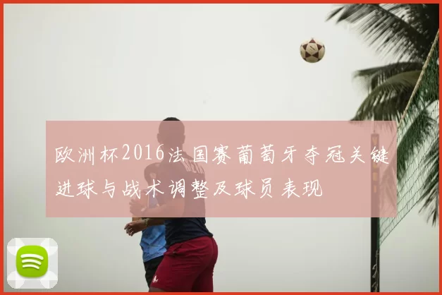 欧洲杯2016法国赛葡萄牙夺冠关键进球与战术调整及球员表现