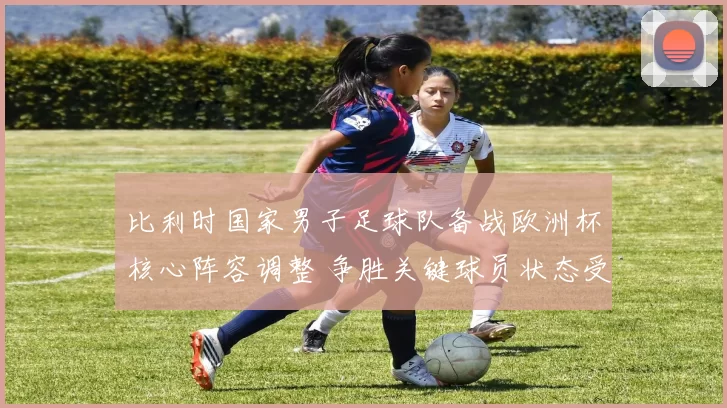 比利时国家男子足球队备战欧洲杯核心阵容调整 争胜关键球员状态受关注