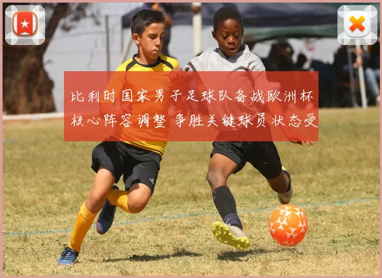 比利时国家男子足球队备战欧洲杯核心阵容调整 争胜关键球员状态受关注